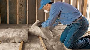 Types of Insulation We Offer in Laguna Vista, TX