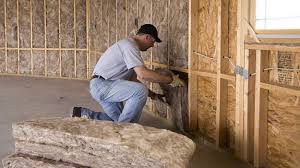 Best Reflective Insulation  in Laguna Vista, TX