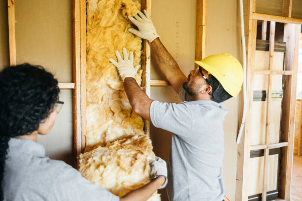 Best Blown-In Insulation  in Laguna Vista, TX