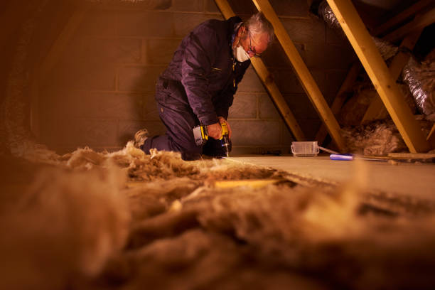 Best Attic Insulation Installation  in Laguna Vista, TX